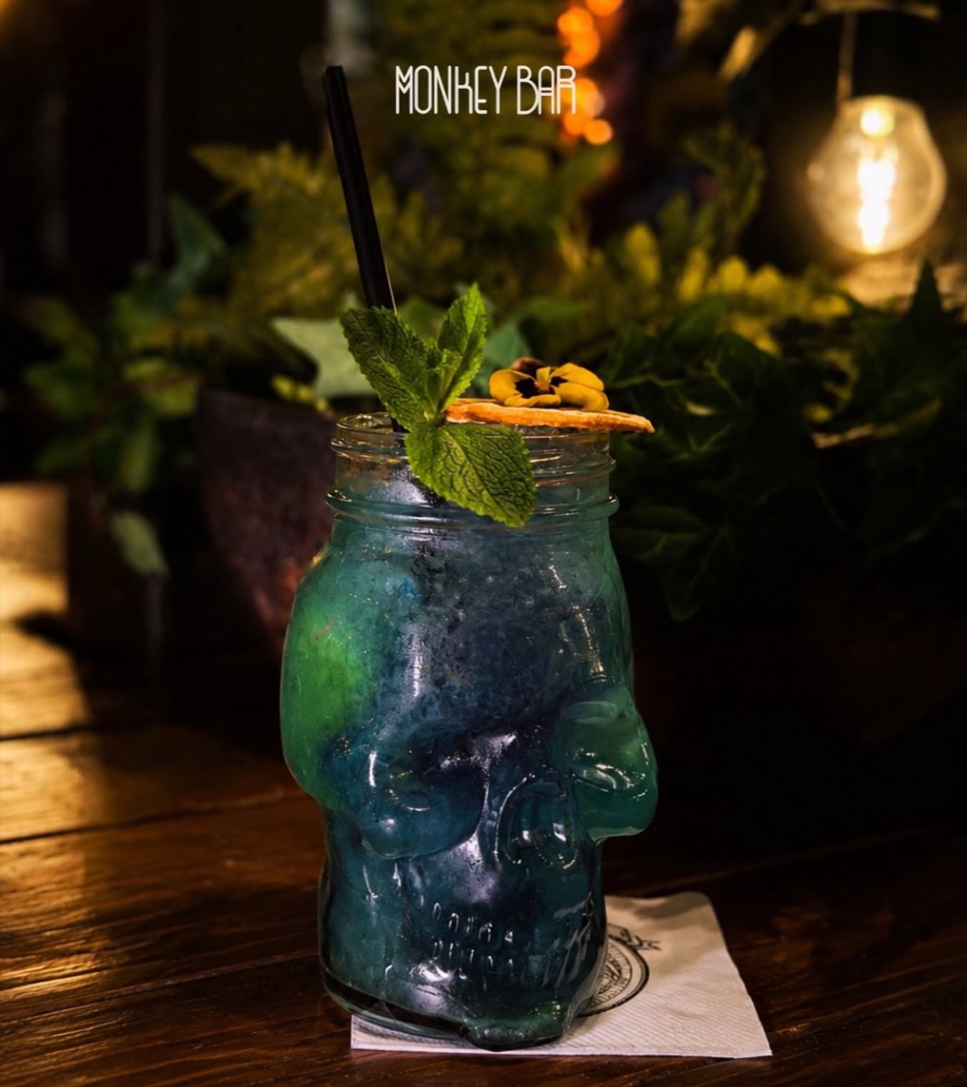 Monkey Bar 5