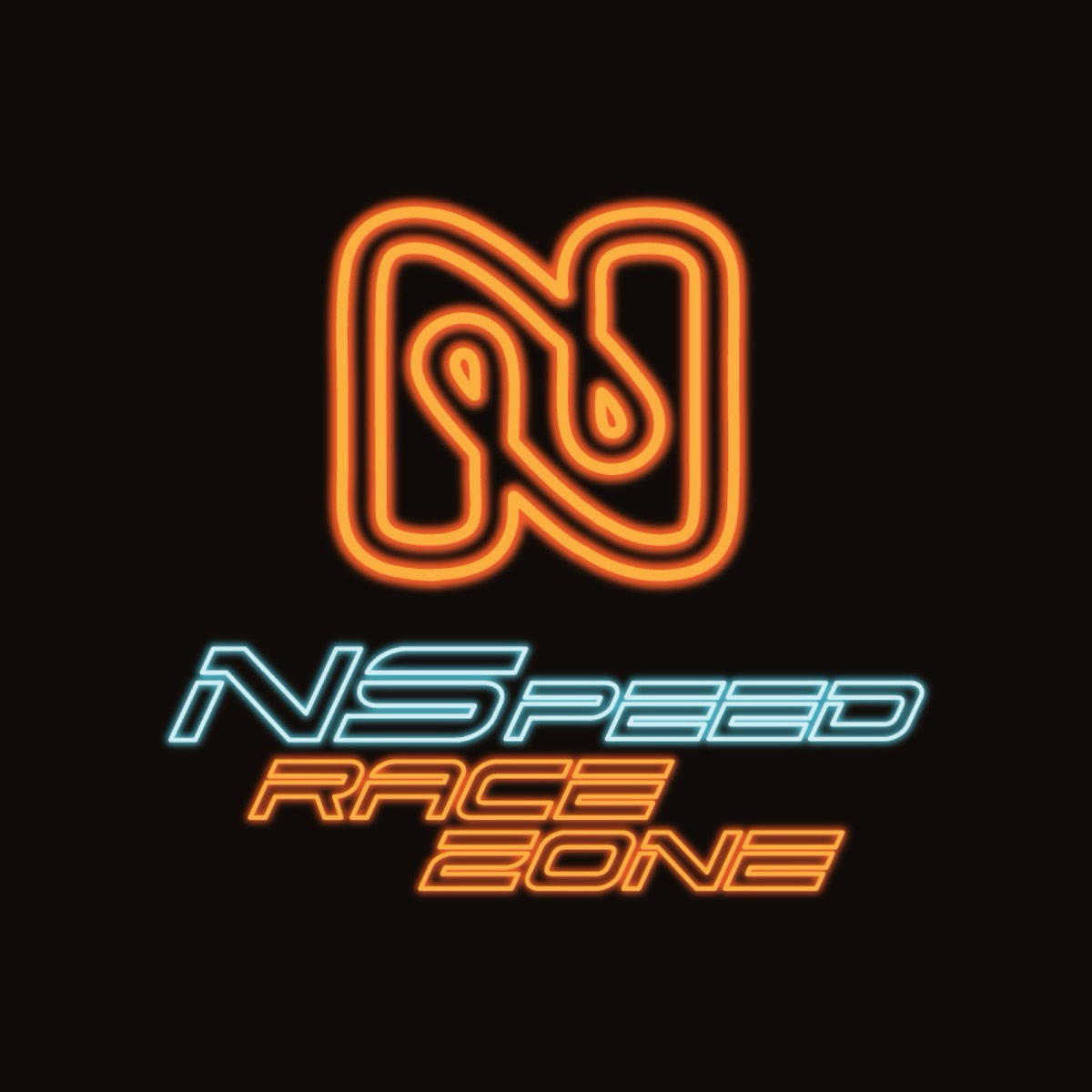 NSpeed RaceZone